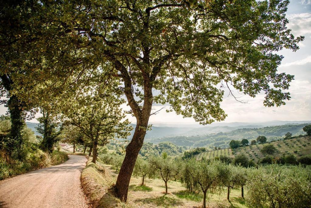 Tenuta Di Forte Sorgnano Gualdo Cattaneo المظهر الخارجي الصورة