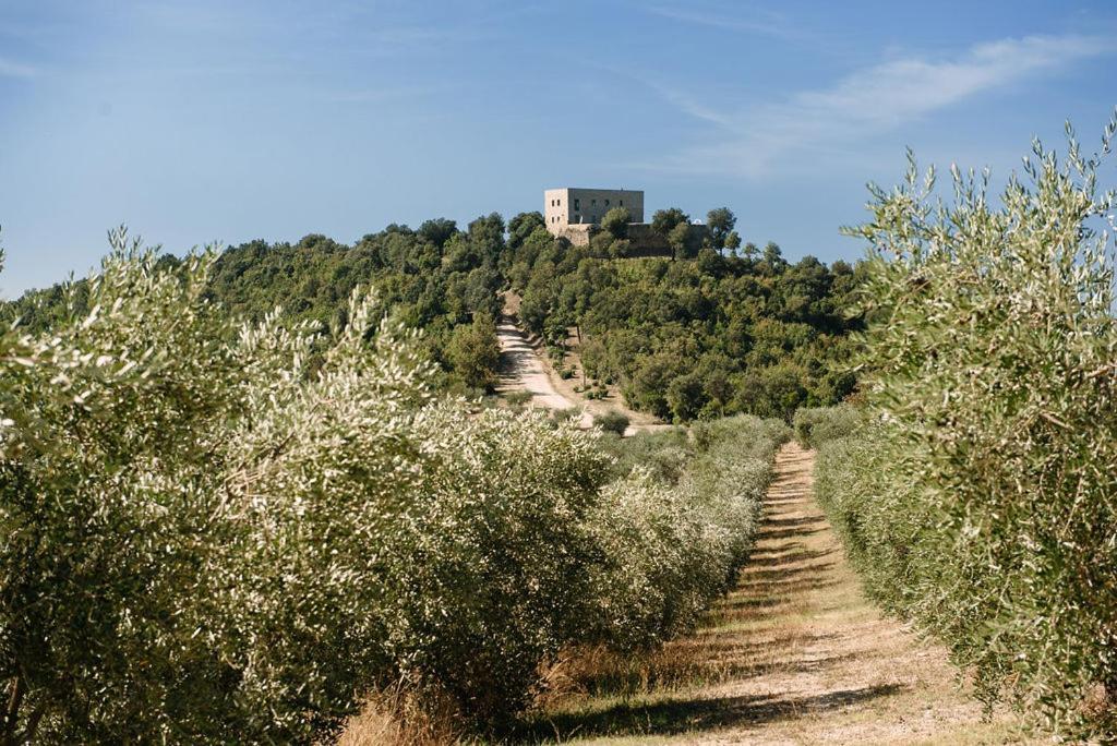 Tenuta Di Forte Sorgnano Gualdo Cattaneo المظهر الخارجي الصورة