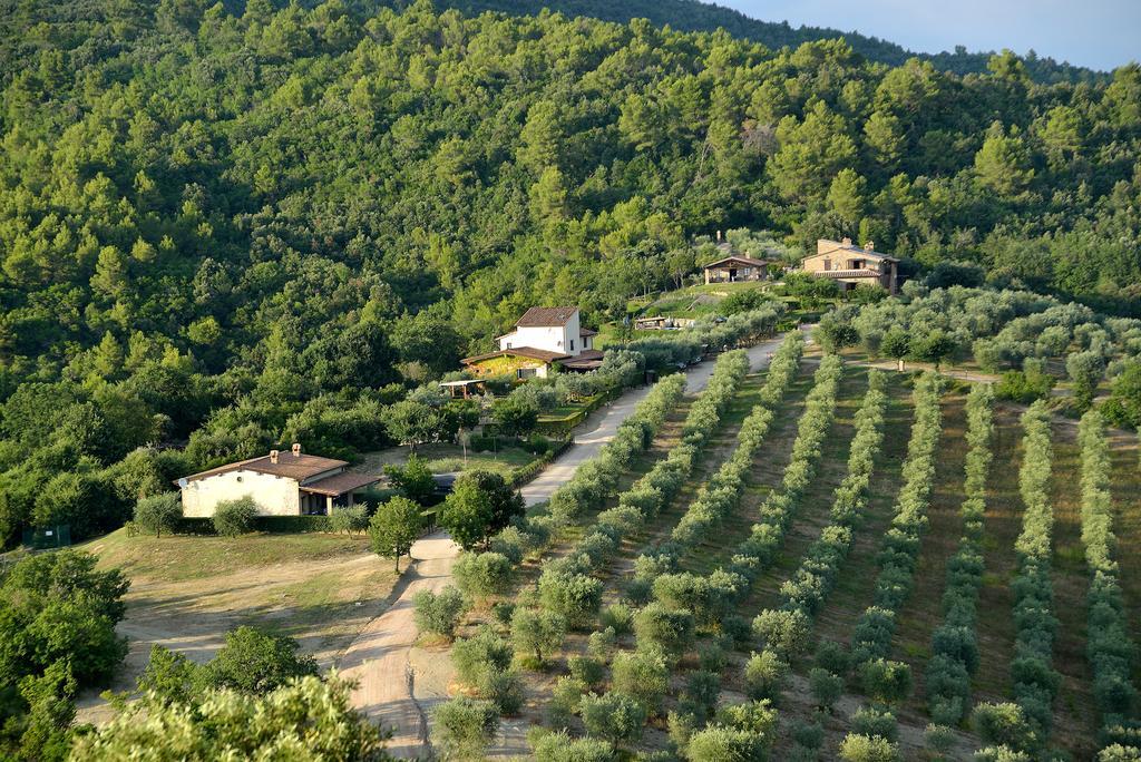 Tenuta Di Forte Sorgnano Gualdo Cattaneo المظهر الخارجي الصورة